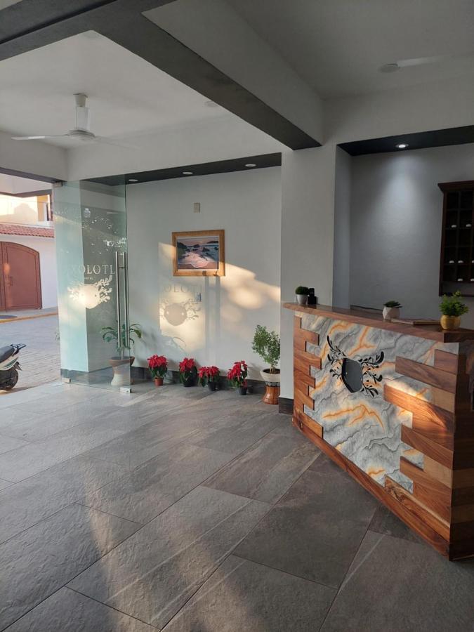 Hotel Axolotl Puerto Escondido  Extérieur photo