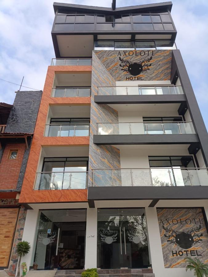 Hotel Axolotl Puerto Escondido  Extérieur photo