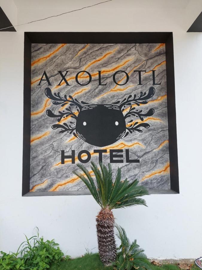 Hotel Axolotl Puerto Escondido  Extérieur photo